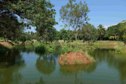 Rain water harvesting ponds constructed in community forests